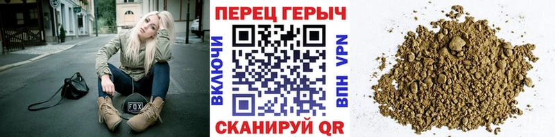 ГЕРОИН хмурый  Кызыл 