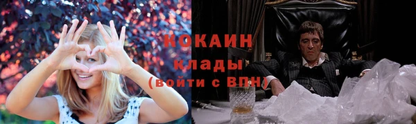 прущий лед Алзамай