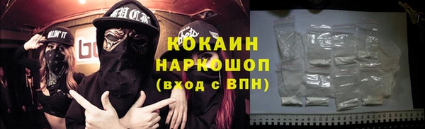 прущий лед Алзамай
