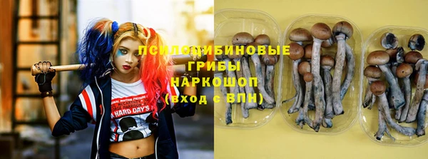 прущий лед Алзамай